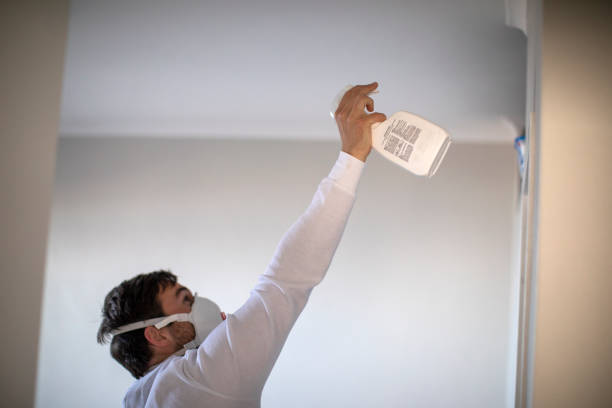 Best Post-Remediation Services in Cuba City, WI